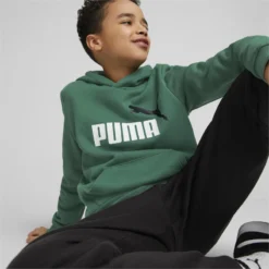 Essentials+ Hoodie Met Groot Tweekleurig Logo Voor Jongeren PUMA -Mode Geest Verkoop essentials hoodie met groot tweekleurig logo voor jongeren puma 1