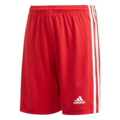 Kinder Shorts Adidas Squadra 21