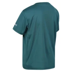 Regatta Kinderen/Kinderen Alvarado VI Zeshoek Tshirt (Pacifisch Groen) -Mode Geest Verkoop kinderenkinderen alvarado vi zeshoek tshirt pacifisch groen 2
