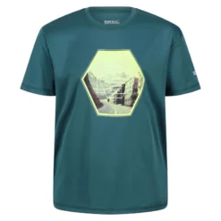 Regatta Kinderen/Kinderen Alvarado VI Zeshoek Tshirt (Pacifisch Groen)