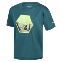 Regatta Kinderen/Kinderen Alvarado VI Zeshoek Tshirt (Pacifisch Groen) -Mode Geest Verkoop kinderenkinderen alvarado vi zeshoek tshirt pacifisch groen 3