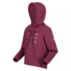 Regatta Kinderen/Kinderen Dream Believe Achieve Extol Stretch Hoodie (Amarant Haze) -Mode Geest Verkoop kinderenkinderen dream believe achieve extol stretch hoodie amarant haze 2