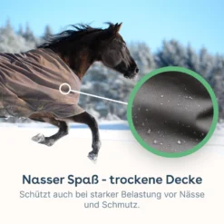 Mode Geest Verkoop -Mode Geest Verkoop paardendeken impregneermiddel spray nevel op waterdicht makend 1