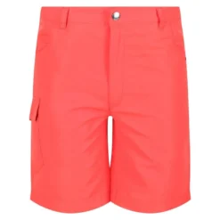 Regatta Sorcer II Korte Wandelbroek Voor Kinderen - Oranje -Mode Geest Verkoop sorcer ii korte wandelbroek voor kinderen oranje 2