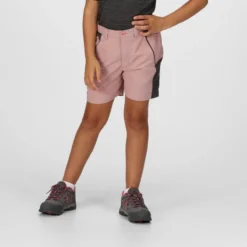 Regatta Sorcer Mountain III Korte Wandelbroek Voor Kinderen -Mode Geest Verkoop sorcer mountain iii korte wandelbroek voor kinderen 4