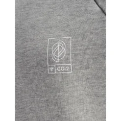 Sweater Met Capuchon Voor Kinderen Hummel GG-12 -Mode Geest Verkoop sweater met capuchon voor kinderen hummel gg 12 2