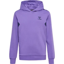 Sweatshirt Katoenen Hoodie Voor Kinderen Hummel HmlStaltic