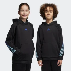ADIDAS Train Icons AEROREADY 3-Stripes Hoodie